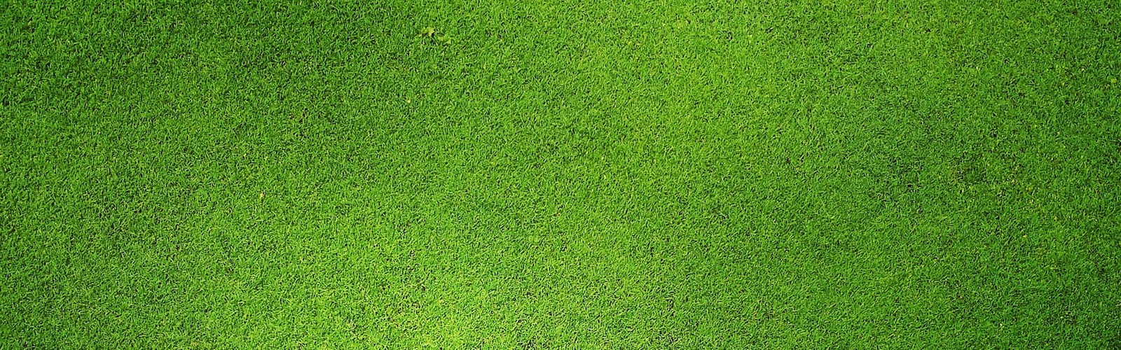 Cardinal Country Club Golf North Carolina