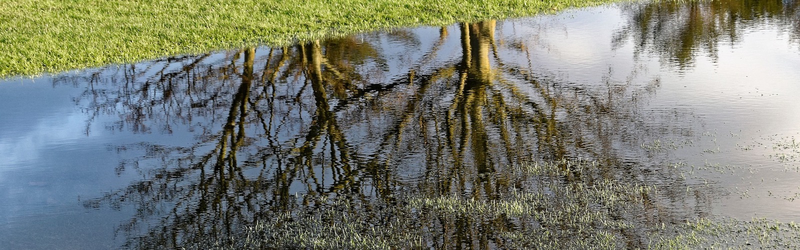 Pine Burr Golf Course Golf North Carolina